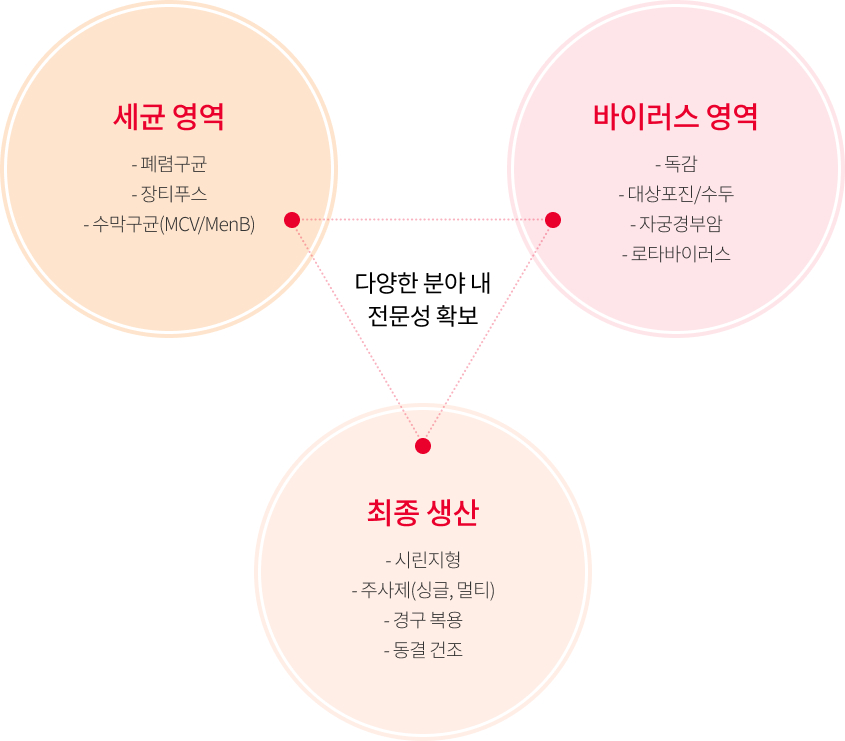 제조 역량(Manufacturing Capability)에 대한 인포그래픽으로 상세 설명은 하단에 있습니다.